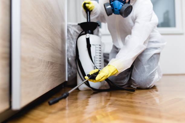 Best Rat Extermination Near Me  in Washington, KS