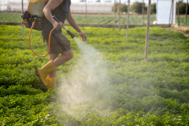Best Emergency Pest Control  in Washington, KS