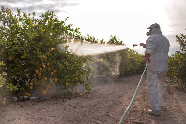 Best Flea Control Services  in Washington, KS