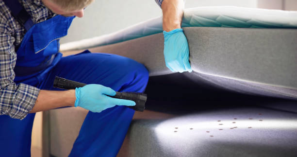 Wasp Removal Services in Washington, KS