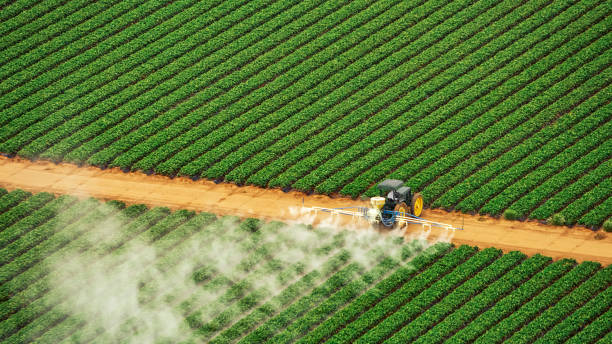 Best Pest Control Treatment  in Washington, KS