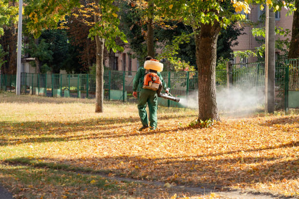 Best Cockroach Control Services  in Washington, KS